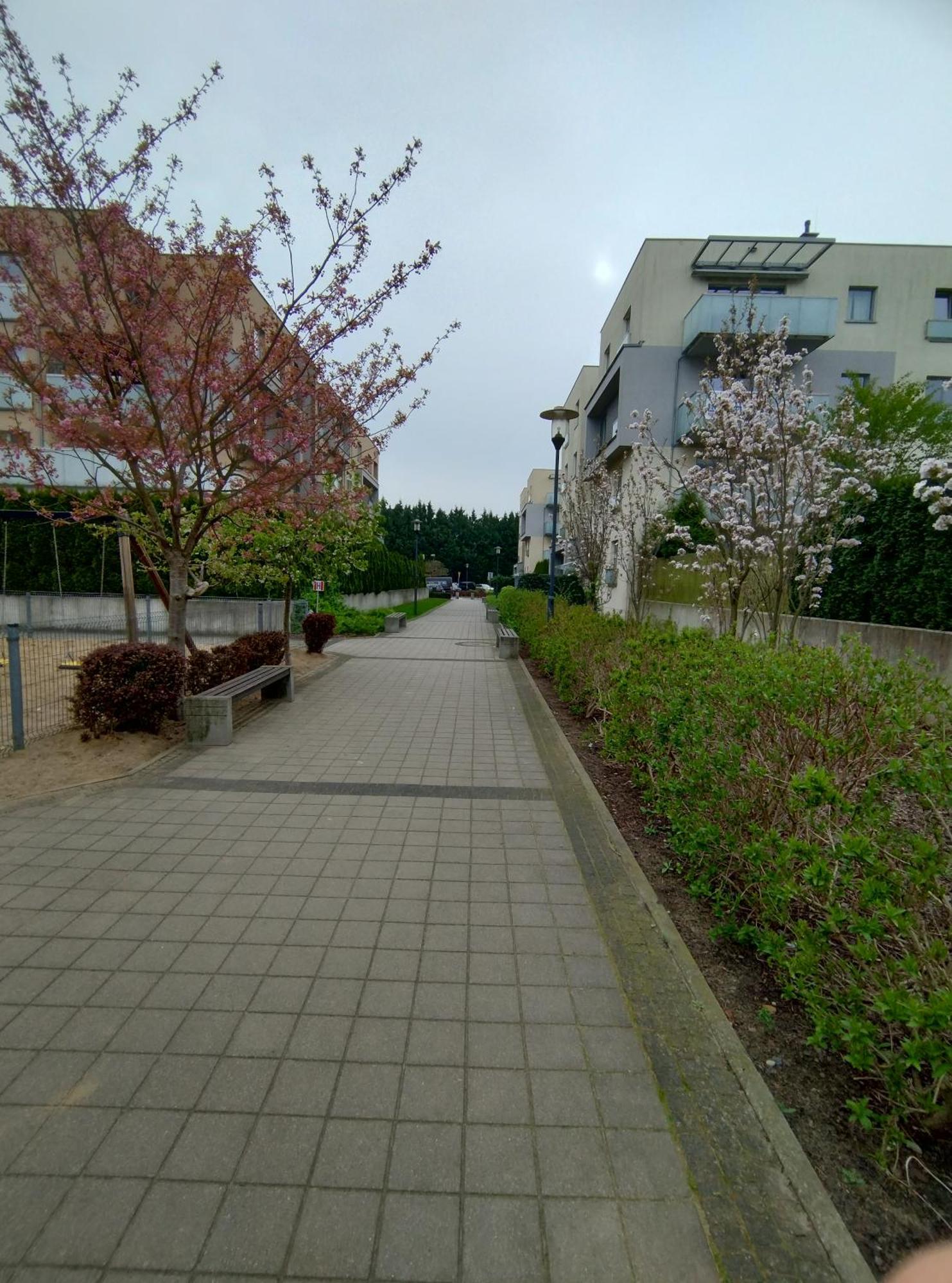 Apartament 1E Barbakan Szczecin Extérieur photo